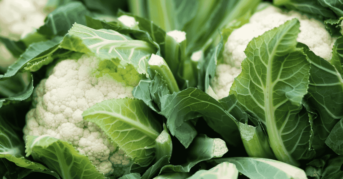 How to export produce from Zimbabwe